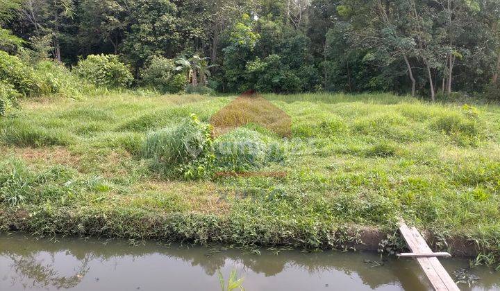 Tanah Siap Bangun Jl. Petani, Pontianak Kota 1