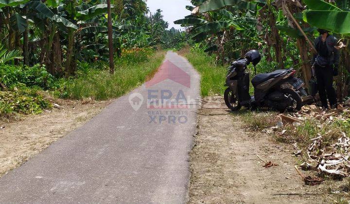 Tanah Luas Cocok Untuk Investasi di Parit Buluh  6