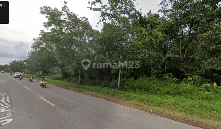 Tanah Lokasi Tepi Jalan Cocok Utk Investasi di Trans Kalimantan 2