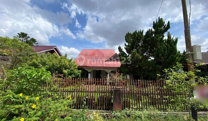 Rumah Halaman Luas Ideal Tengah Kota Kawasan Old Money di Sakura 2