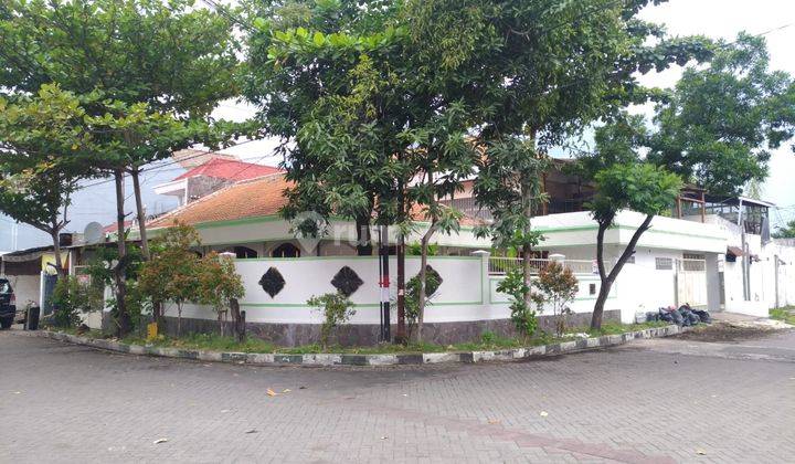 Dijual Rumah Hitung Tanah Strategis Darmo Indah Timur 1