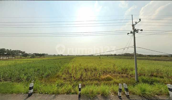 FOR SALE: JAPANAN MOJOKERTO LAND, STRATEGIC, SUITABLE FOR INDUSTRY