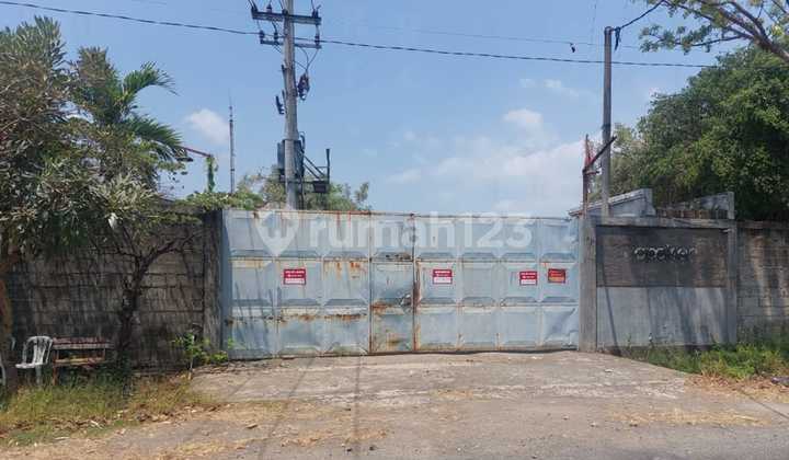 FOR SALE EX FACTORY PASURUAN CHEAP RARELY FOUND ONLY 800k/m2