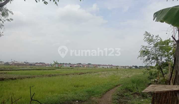 FOR SALE RESIDENTIAL LAND KUTOREJO MOJOKERTO FOR SALE RESIDENTIAL LAND KUTOREJO MOJOKERTO