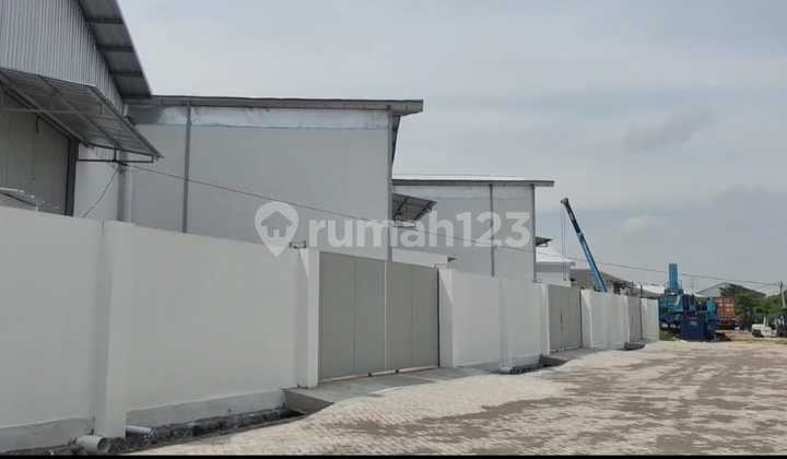 4 Warehouses for Rent in Romokalisari
