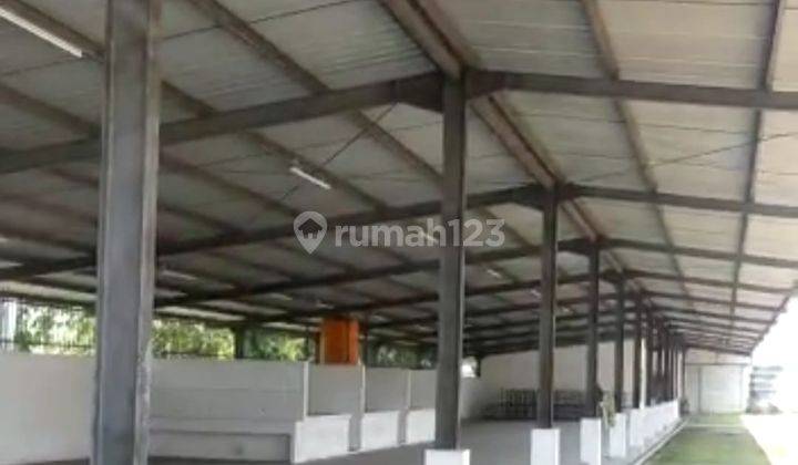 Pabrik Sepatu Mojowaro Jombang