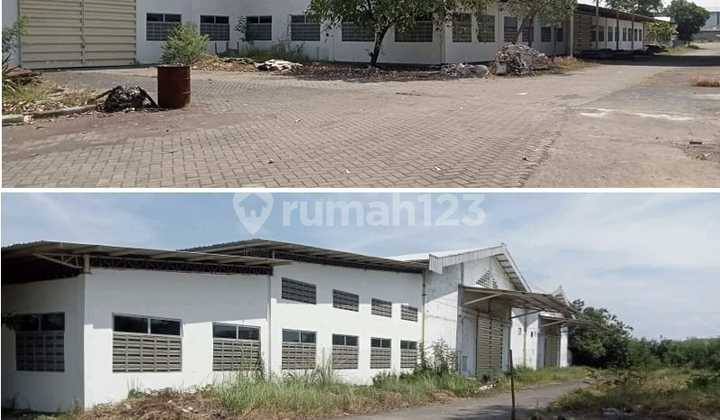 For Rent Warehouse Bambe Driyorejo Gresik Can Be Customized to Needs For Rent Warehouse Bambe Driyorejo Gresik Can Be Customized to Needs
