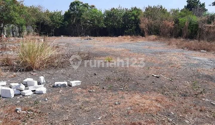 Termurah Lahan Mastrip Hanya 6jt Per Meter 2