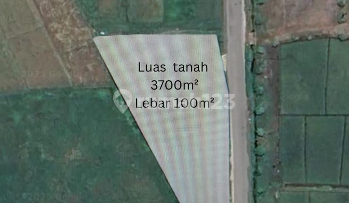 Tanah Industri Mojokerto Luas 3000an 1