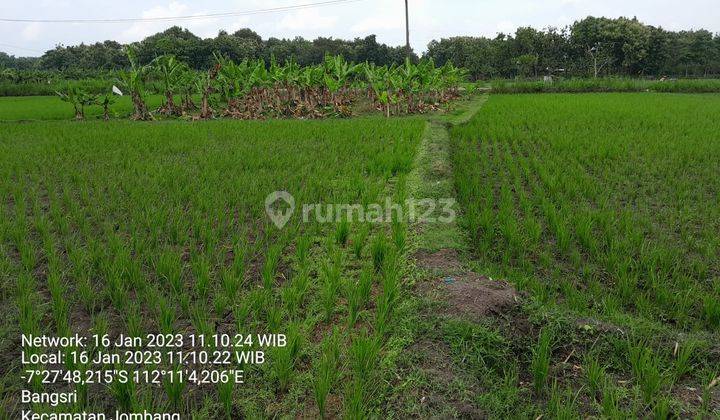 Tanah di Plandaan Jombang Dk Jembatan Ploso, Kantor Kecamatan, Sd 3