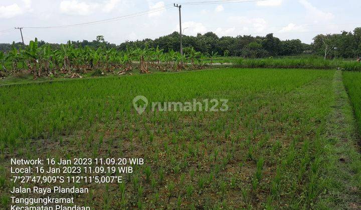 Tanah di Plandaan Jombang Dk Jembatan Ploso, Kantor Kecamatan, Sd 4