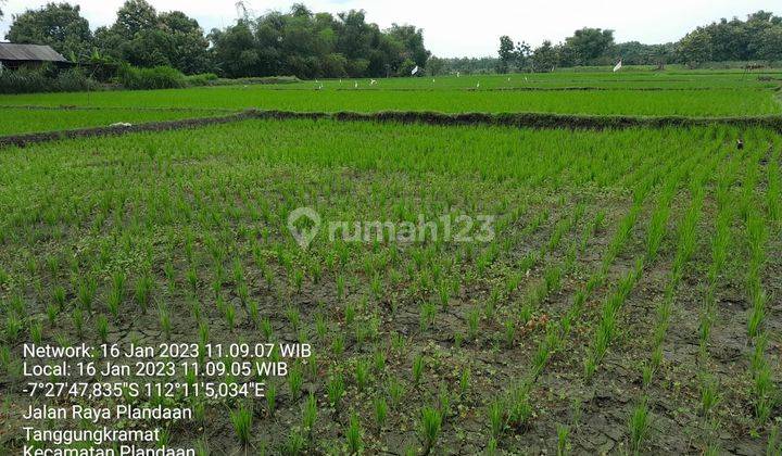 Tanah di Plandaan Jombang Dk Jembatan Ploso, Kantor Kecamatan, Sd 5