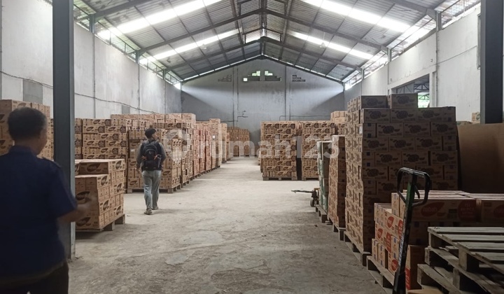 Disewakan Gudang Luas 1700m² Di Sumur Bor Cengkareng (akses Contener Hanya 20 Feet) Disewakan Gudang Luas 1700m² Di Sumur Bor Cengkareng (akses Contener Hanya 20 Feet)