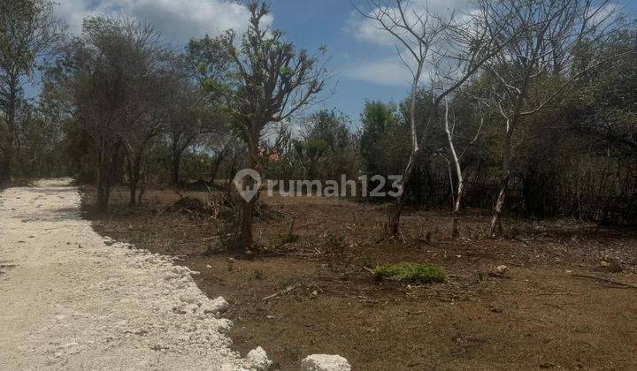 Tanah Bagus Dekat Ke Pantai Balangan Kuta Selatan Cocok Untuk Bangun Villa 2