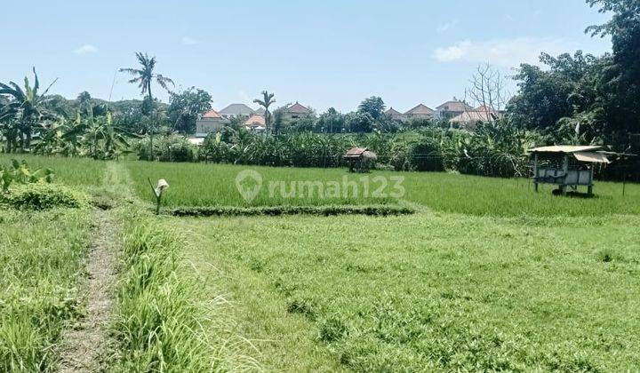 Tanah Bagus Termurah Di Kelasnya Cocok Untuk Komersil Dan Lokasi Sangat Strategis  2