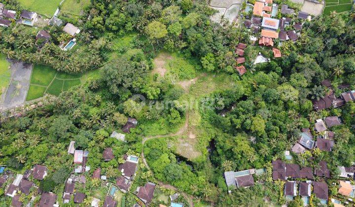 Land on Jalan Sayan Ubud 2