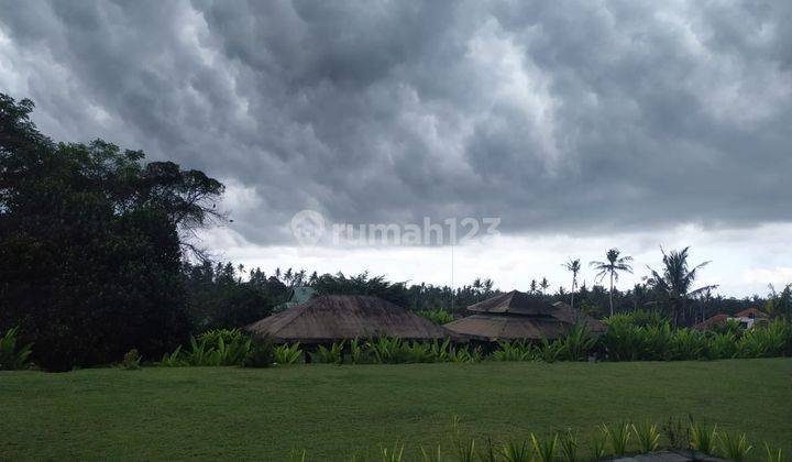 Tanah di Jln kemenuh ubud 2