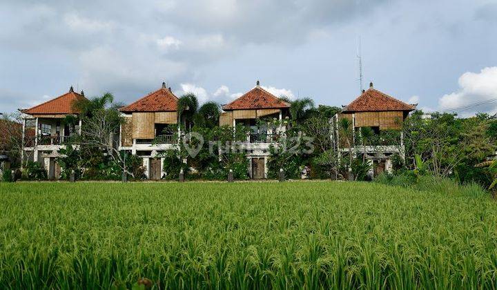 Villa Lotunduh ubud 2