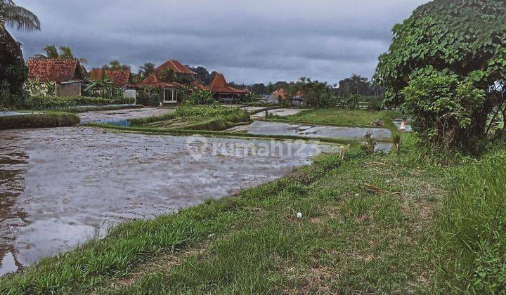 Land for sale on Jalan Sayan Ubud 1