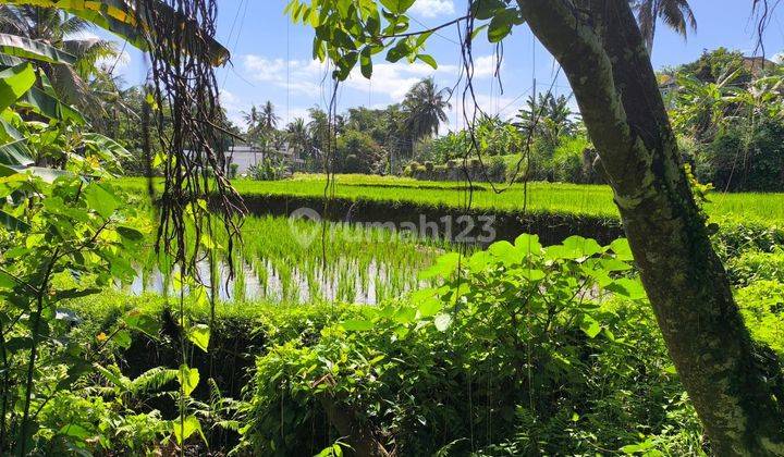 Tanah di jual silakarang  1