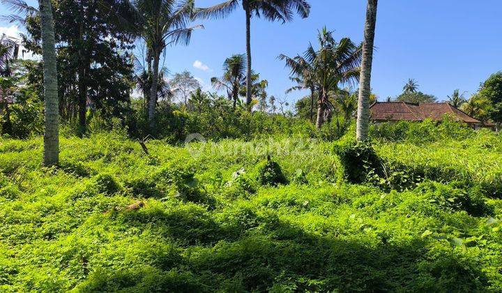 Land for sale on Jalan Lodtunduh Ubud 1