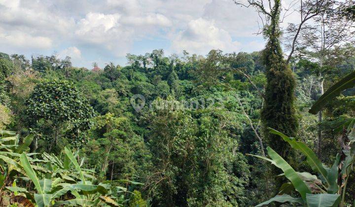 Tanah di jual di Jalan samplangan gianyar 1