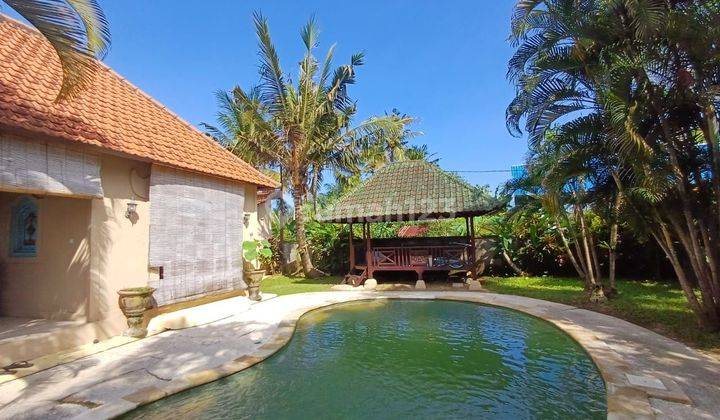 Villa for sale on Jalan Kemenuh Ubud 2