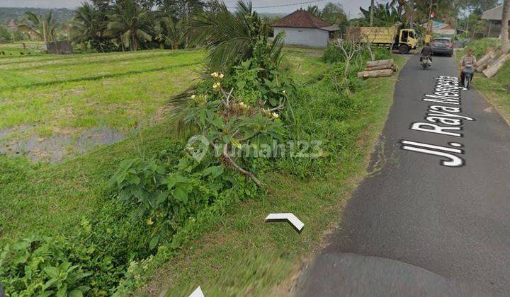 Good cheap land with attractive views below the market suitable for a villa 1