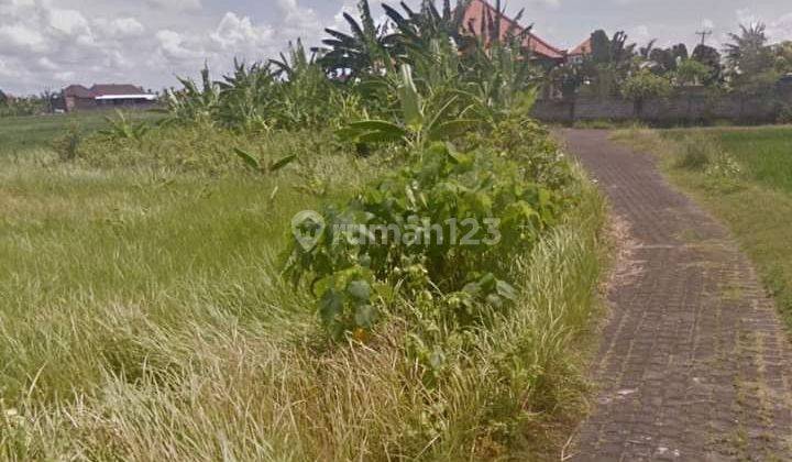 Good land suitable for a villa near the beach  2