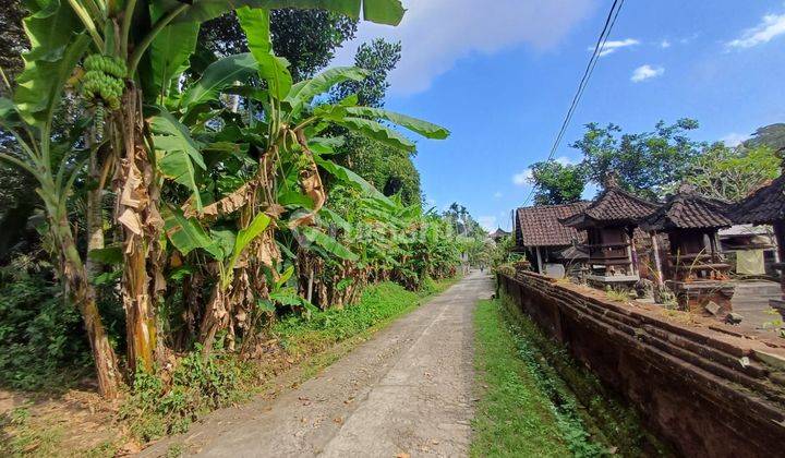 Tanah murah zona kuning pejeng kawan cocok untuk villa 2