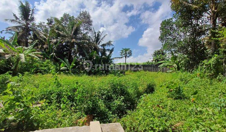 Tanah Bagus Cocok Untuk Villa Dan Rumah Tinggal Dekat Ke Pusat Ubud  1