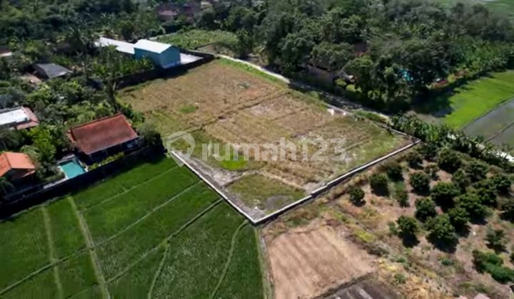 Di Jual Tanah Murah Dekat Pantai Pasut Tabanan Sangat Cocok untuk Komplex Villa