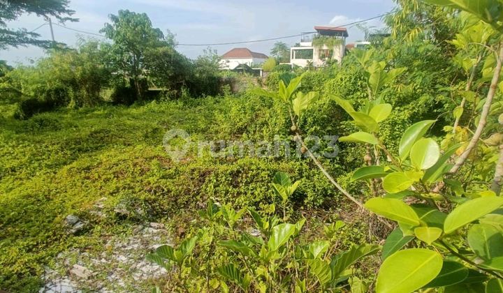 Tanah Buc Murah Di Kelas Nya Cocok Untuk Bangun Villa