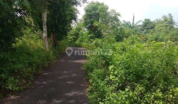 Tanah Bagus Berjarak 800 Meter Ke Pantai  1