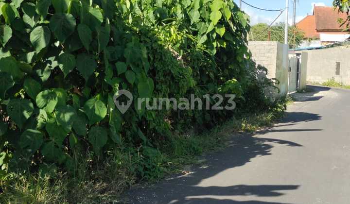 Di Jual Tanah Bagus di Pererenan Cocok untuk Villa Lingkungan Bersih