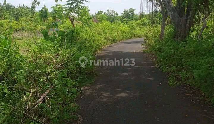 Tanah Bagus Berjarak 800 Meter Ke Pantai  2