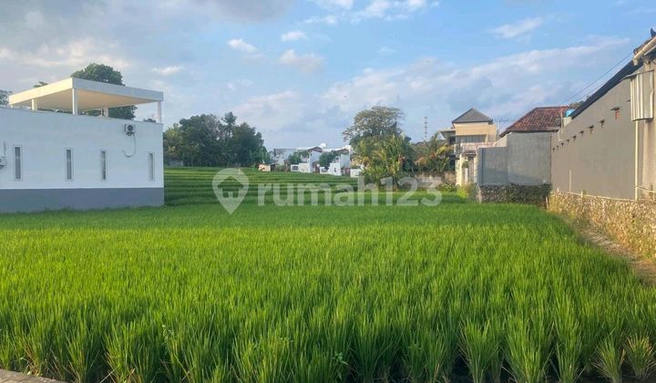 Tanah Bagus Cocok untuk Hunian dan Villa