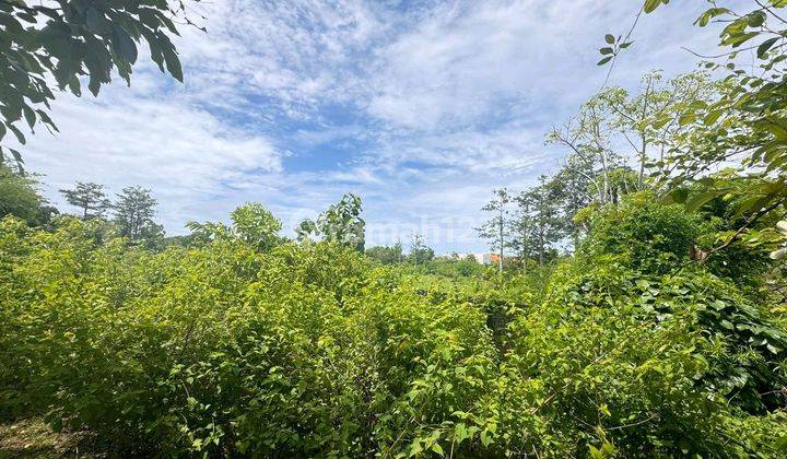 Tanah Bagus Murah Di Kelas Nya Dekat Ke Pantai Balangan  2