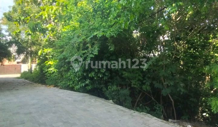 Good Land, Villa Environment Near Airis Villa Pecatu Very Suitable for Commercial Use Good Land, Villa Environment Near Airis Villa Pecatu Very Suitable for Commercial Use