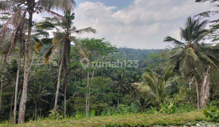 Tanah Bagus View Menawan Satu Satu Nya Di Payangan Cocok Untuk Resort 1