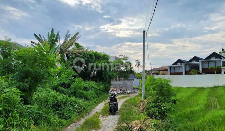 For Sale, Extremely Rare Land Near Pererenan Beach, Ideal for Building a Villa.