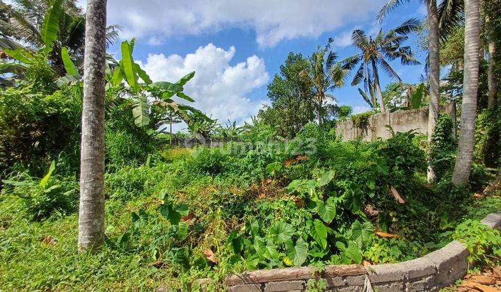 Tanah Bagus Cocok Untuk Villa Dan Rumah Tinggal Dekat Ke Pusat Ubud  2