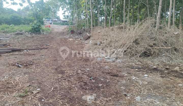 Di Jual Tanah Baru Murah Sangat Cocok untuk Komersil, bisa Ambil Plot Kecil Di Jual Tanah Baru Murah Sangat Cocok untuk Komersil, bisa Ambil Plot Kecil