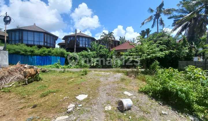 For Sale: Good Cheap Land, Very Suitable for Building a Commercial Villa