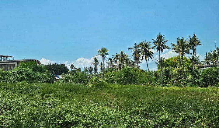 Nice Land with Sea View and Rice Fields Villa Environment Suitable for Building a Villa 2