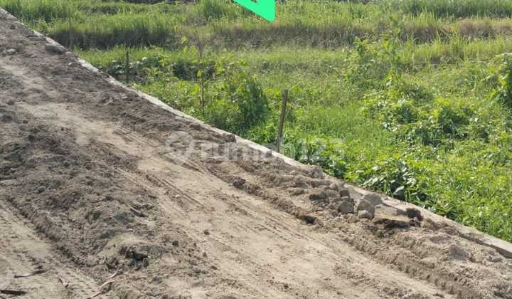 Di Jual Tanah Tumbak Bayuh View Sawah Sangat Cocok untuk Villa dan Buat Kavling Di Jual Tanah Tumbak Bayuh View Sawah Sangat Cocok untuk Villa dan Buat Kavling
