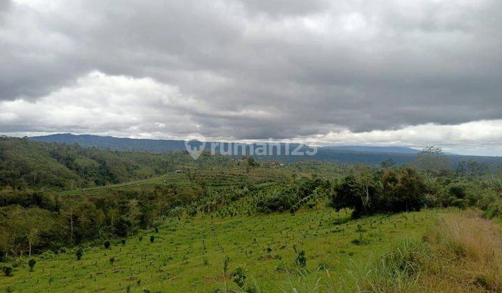 Tanah Bagus View Sangat Menawan Di Bawah Pasar Butuh Terjual Cepat Sangat Murah di Kelas Nya Ayo Buruan Sebelum Kehabisan 1