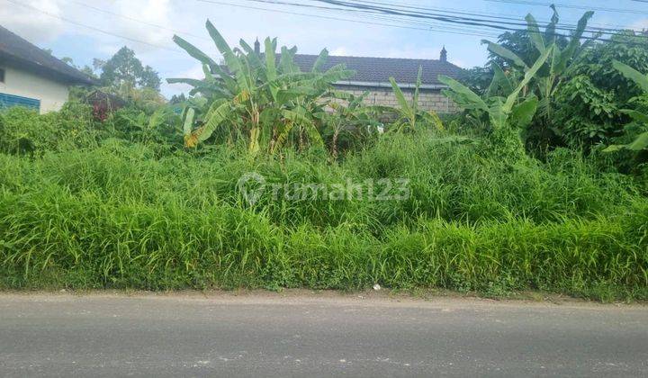 Tanah Bagus Pinggir Jalan Cocok Untuk Usaha Dan Tempat Tinggal 1