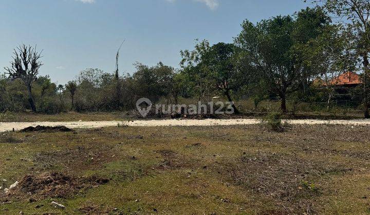 Good Land Near Balangan Beach South Kuta Suitable For Building Villa 2