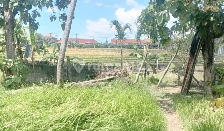 Tanah Murah Bagus Cocok Untuk Bangun Komplex Villa